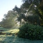 Éco-lieu spirituel en Bretagne entouré de verdure