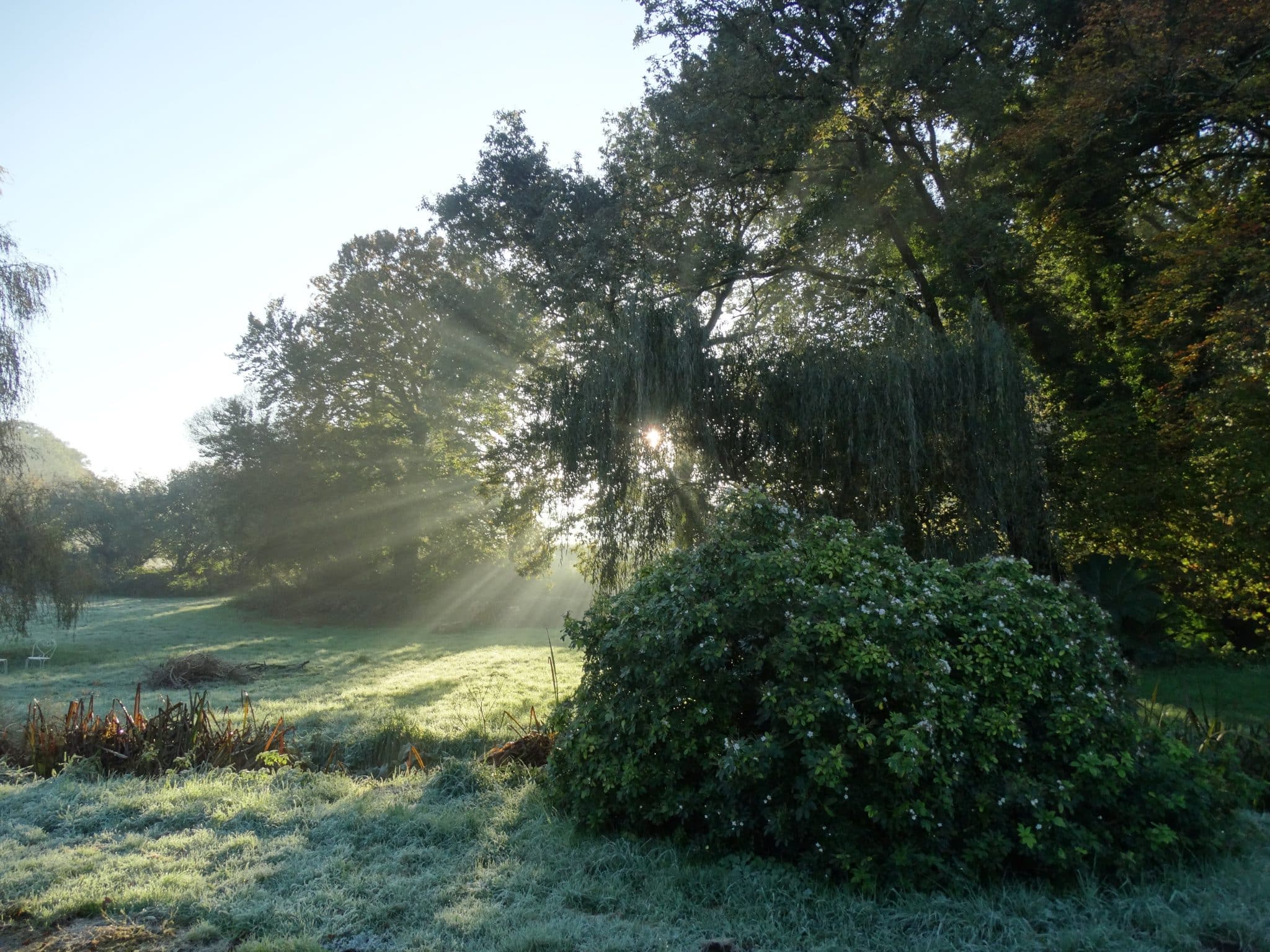 Éco-lieu spirituel en Bretagne entouré de verdure