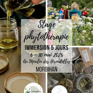 Stage de phytothérapie du 6 au 10 mai